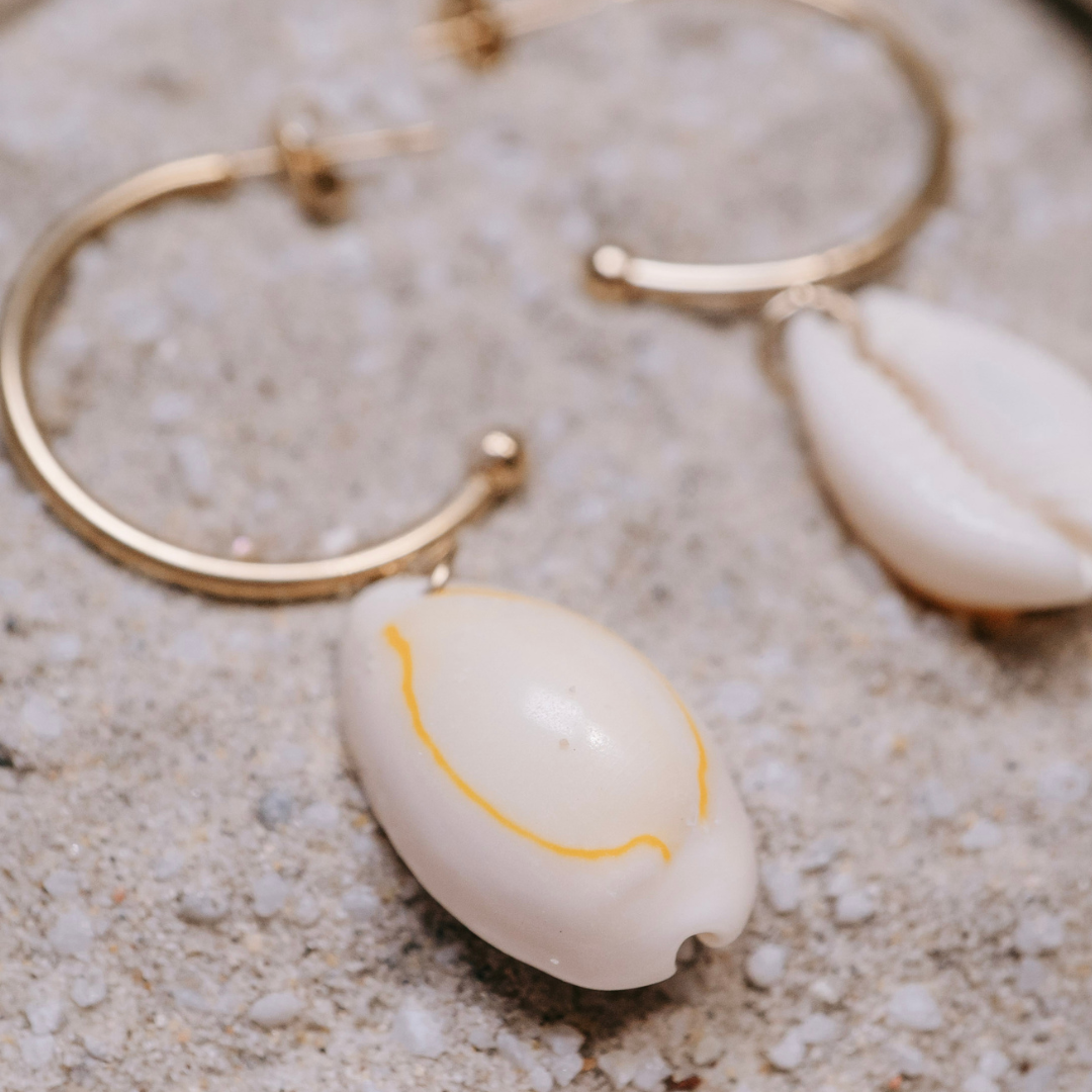 Golden Shore Cowries