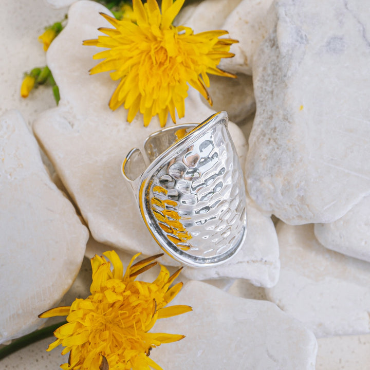 Elemental Shield Ring
