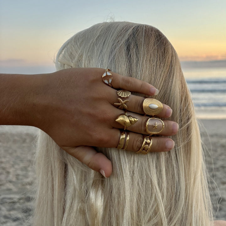 Golden Clam Shell Band (Adjustable)