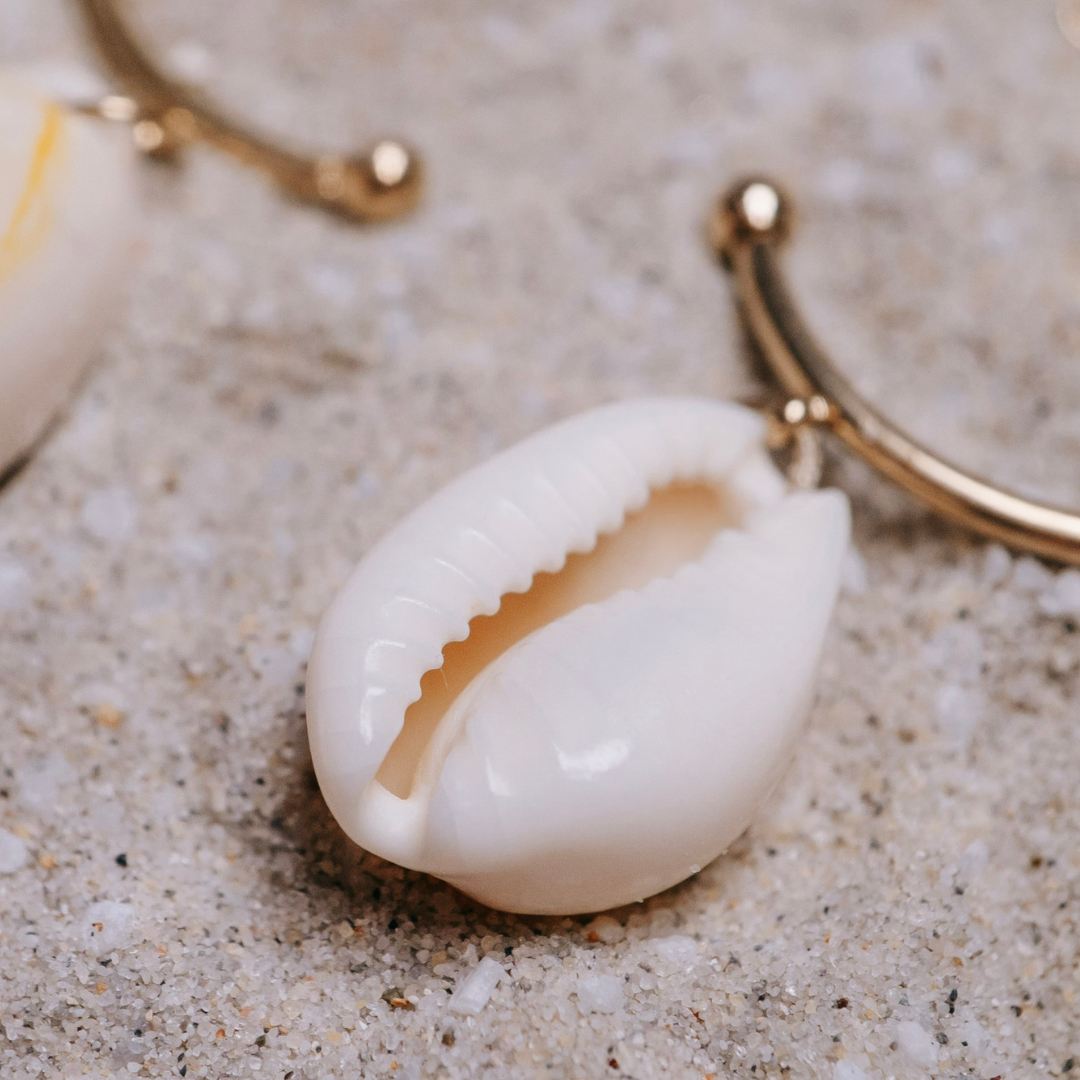 Golden Shore Cowries
