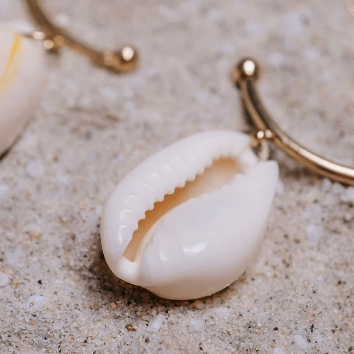 Golden Shore Cowries