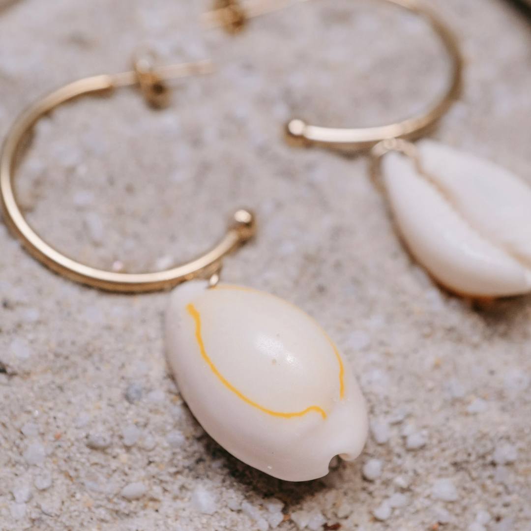 Golden Shore Cowries