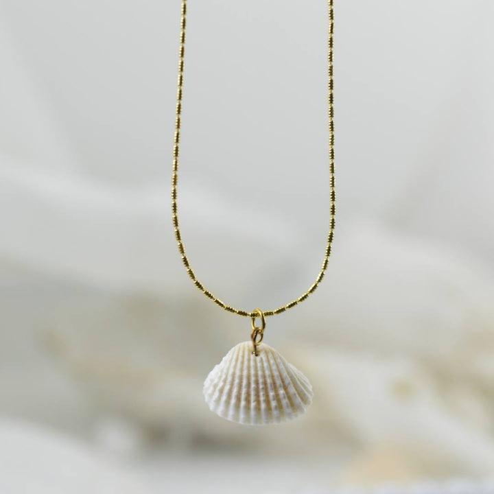Coastal Shell Necklace