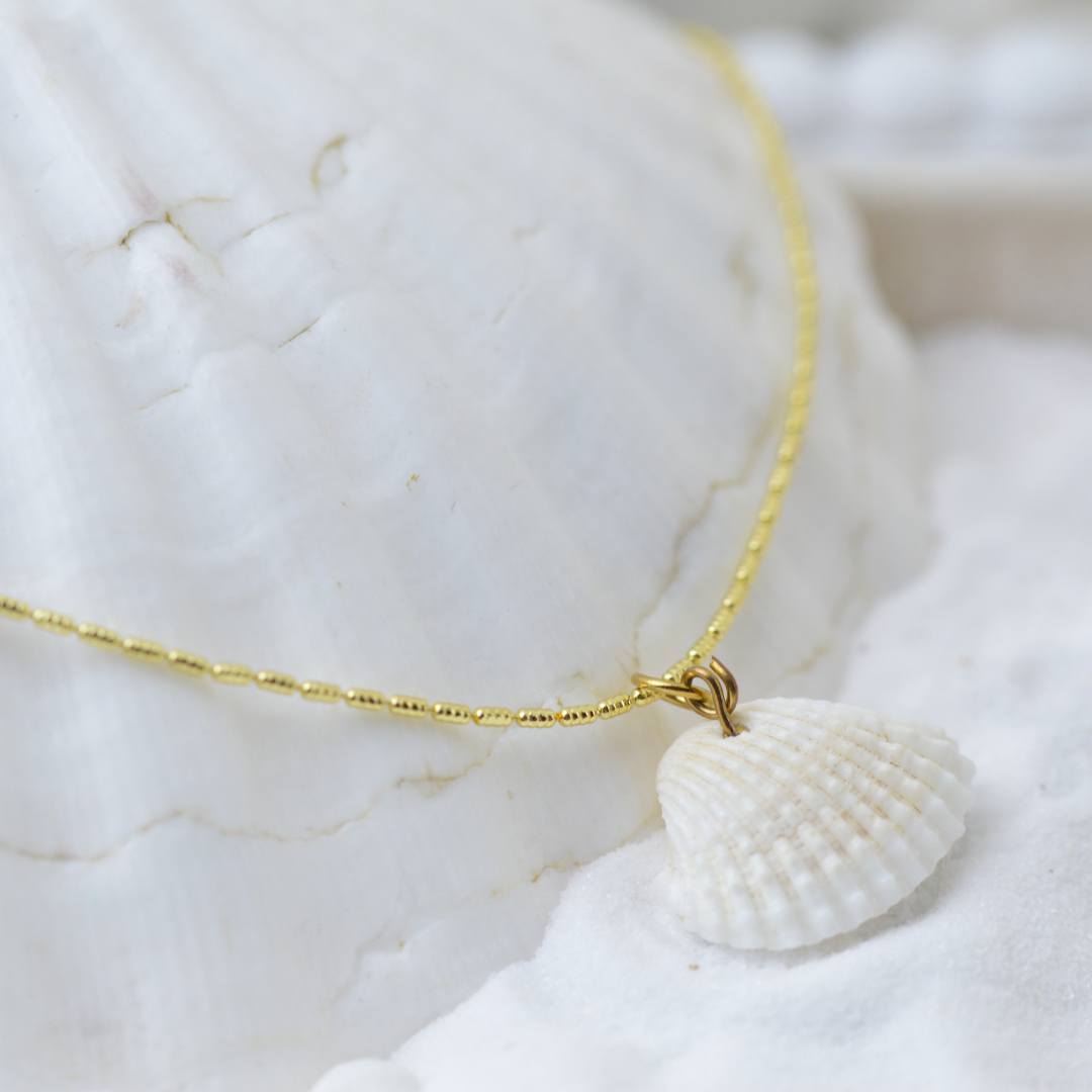 Coastal Shell Necklace