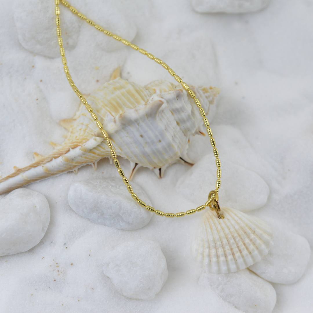 Coastal Shell Necklace