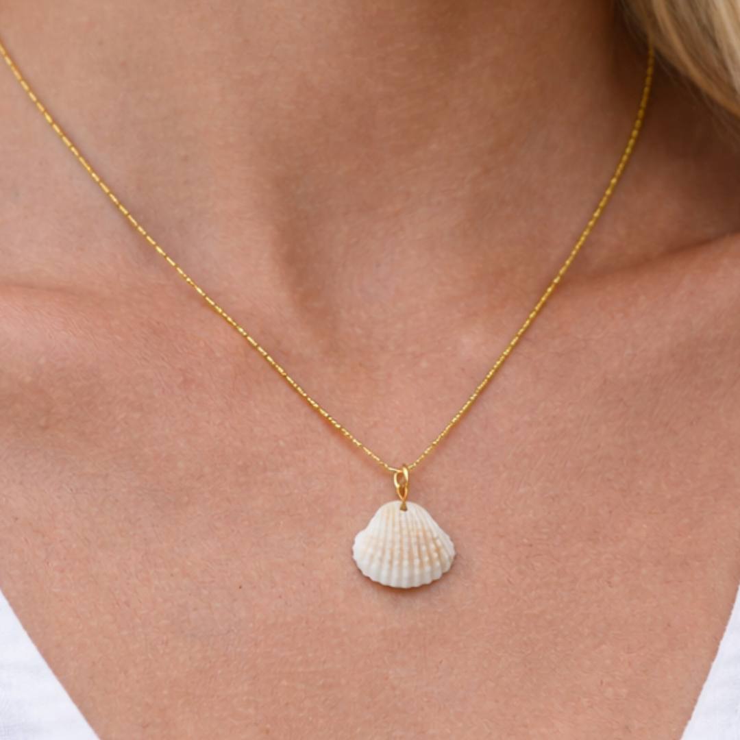 Coastal Shell Necklace