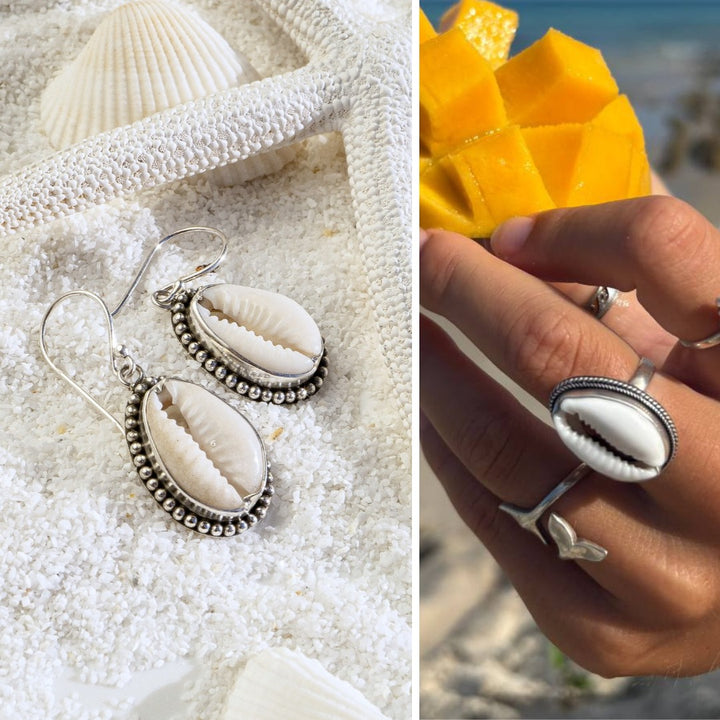 Cowrie Shell Duo