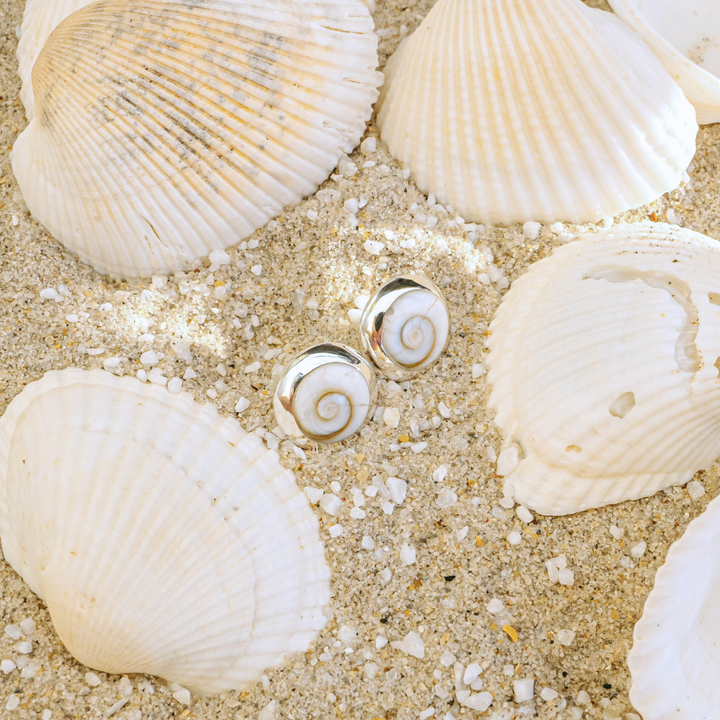 Shiva Shell Stud Earrings