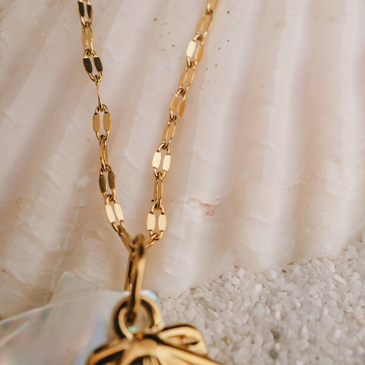 Saltwater Shell Necklace
