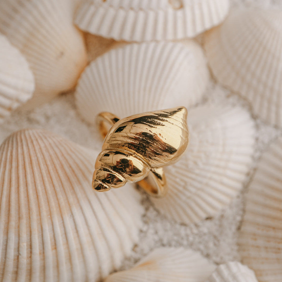 Vanilla Shell Example Golden Conch Shell Ring (Adjustable) – Vanilla Shore