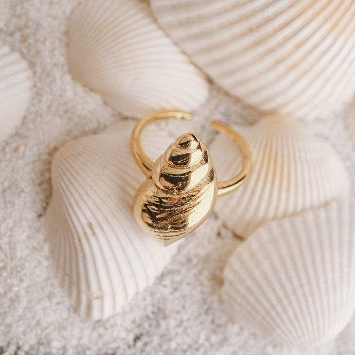 Golden Conch Shell Ring (Adjustable)