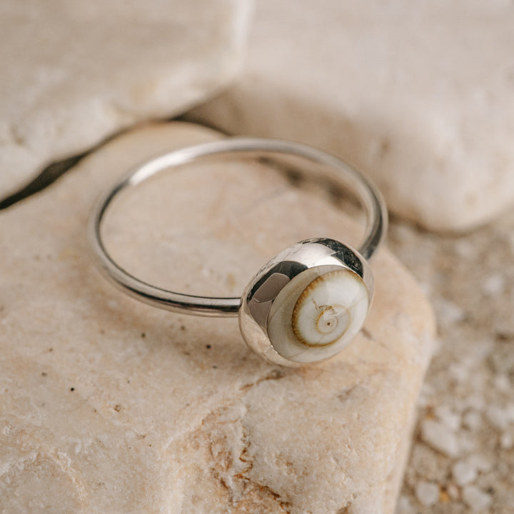 Dainty Shiva Shell Ring