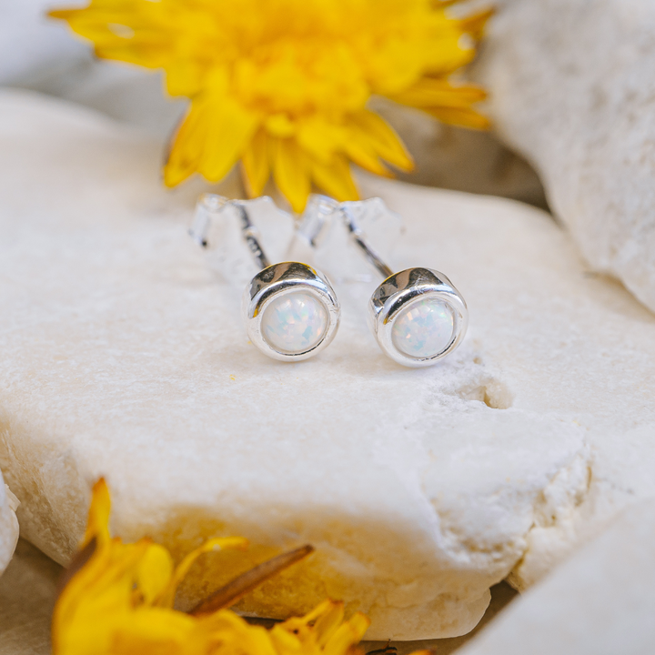 Earrings - White Studs