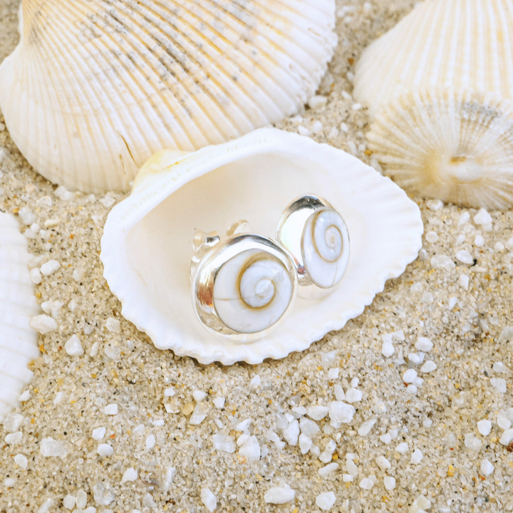 Shiva Shell Stud Earrings