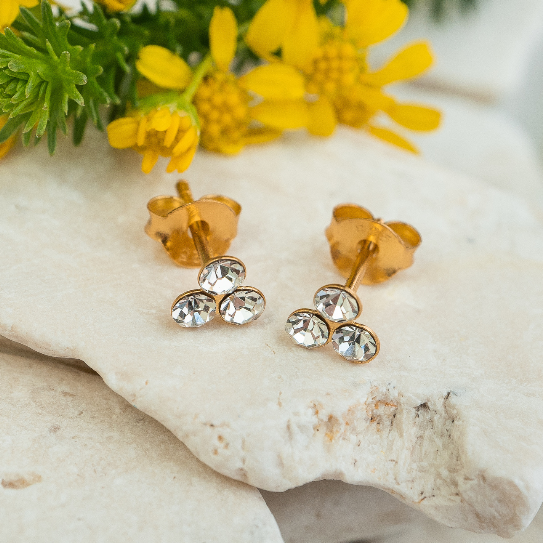 Earrings - Sparkling Gold Studs