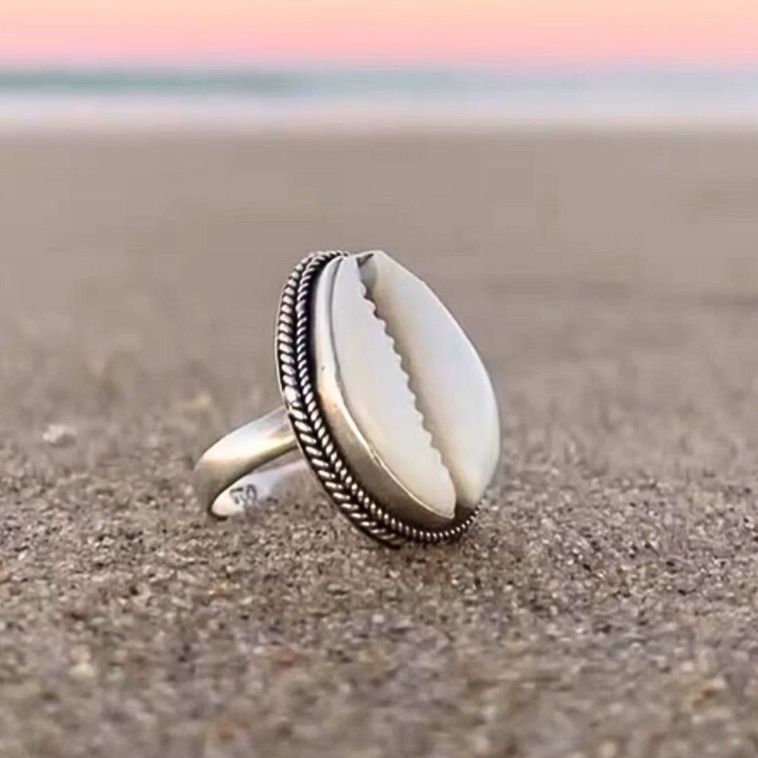 Cowrie Shell Duo