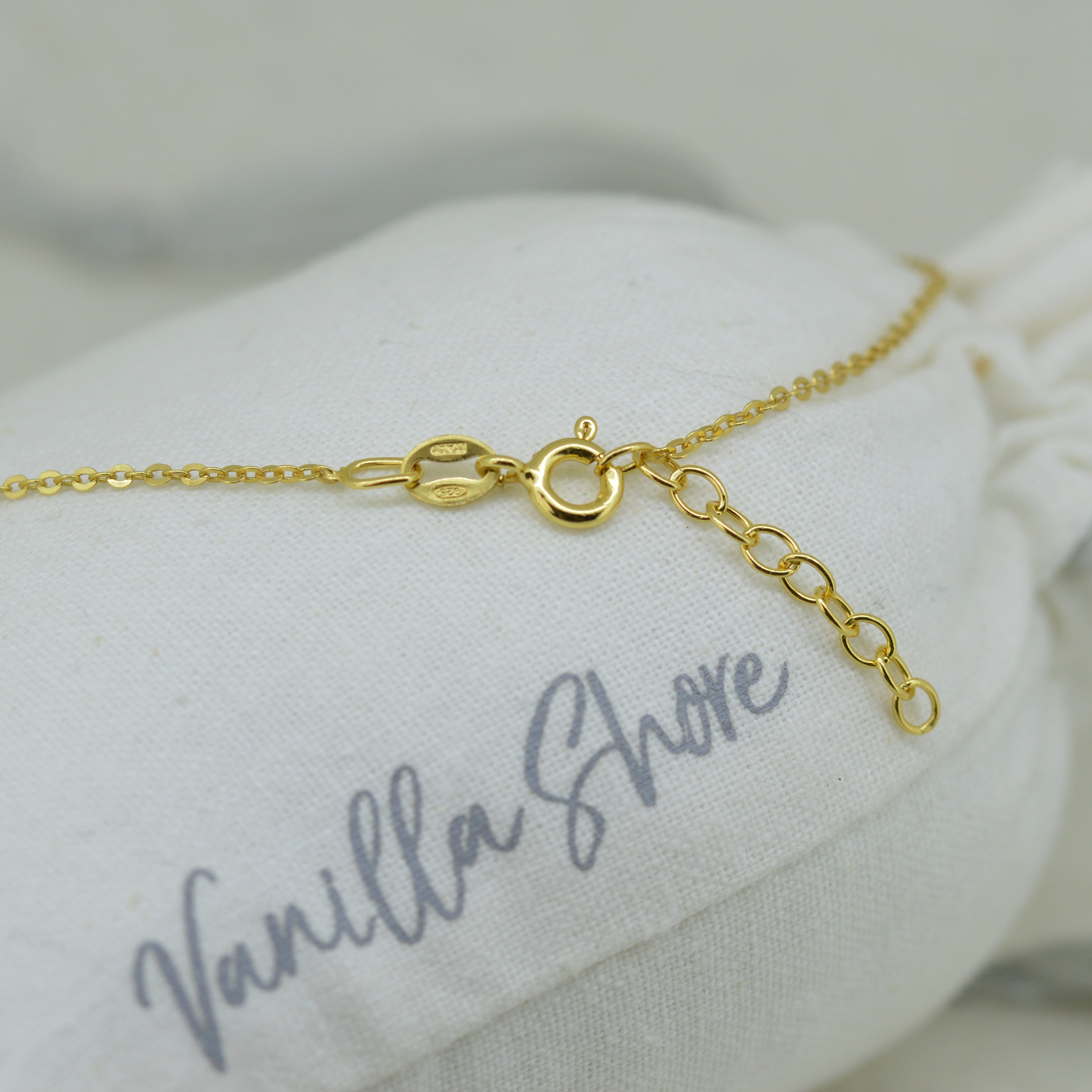 Dainty shop gold anklet