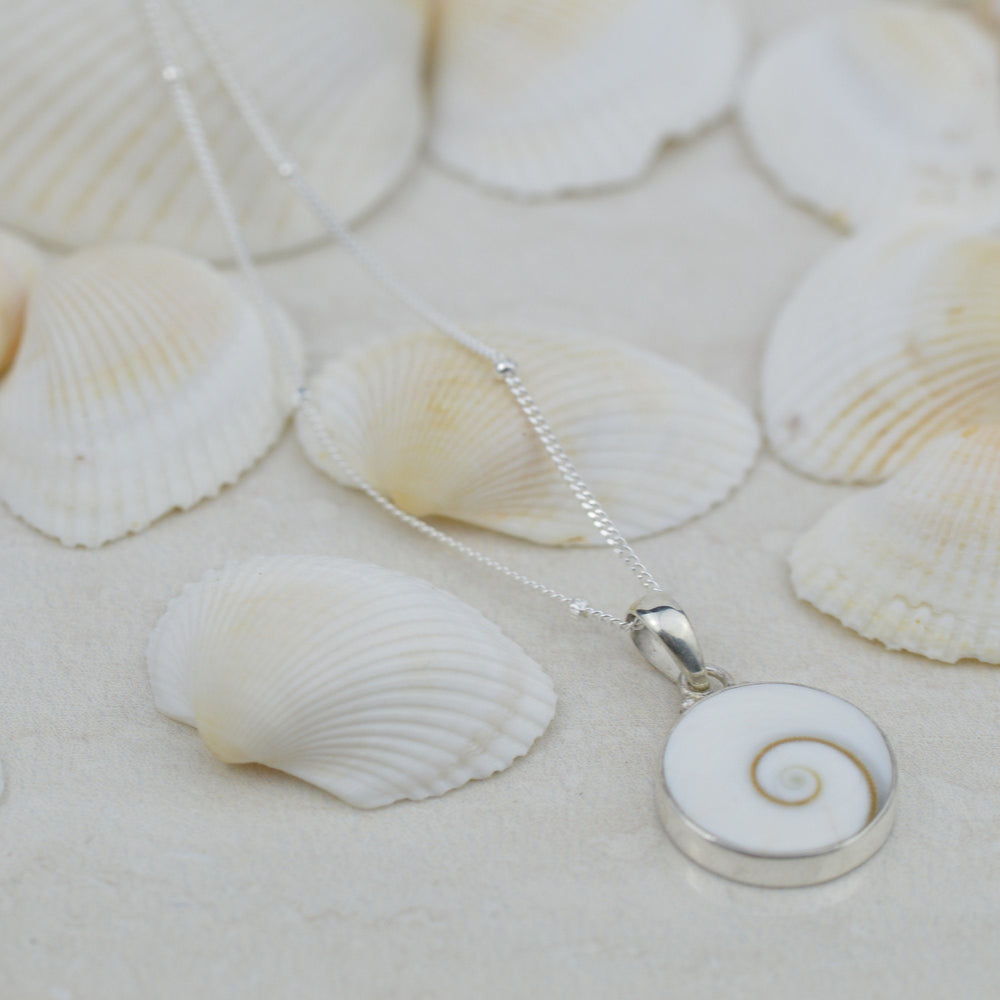 Shiva Shells – Vanilla Shore